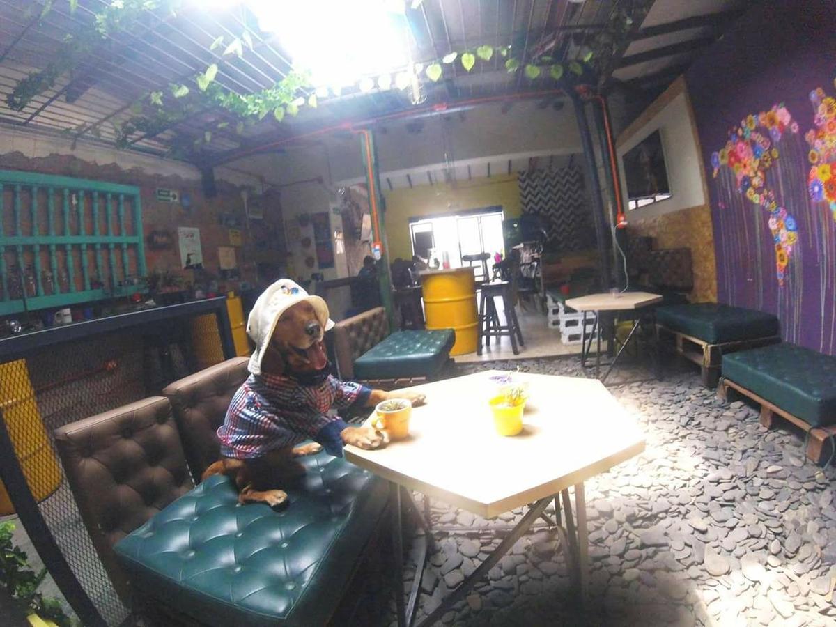 A Pousada Panela Medellín Exterior foto